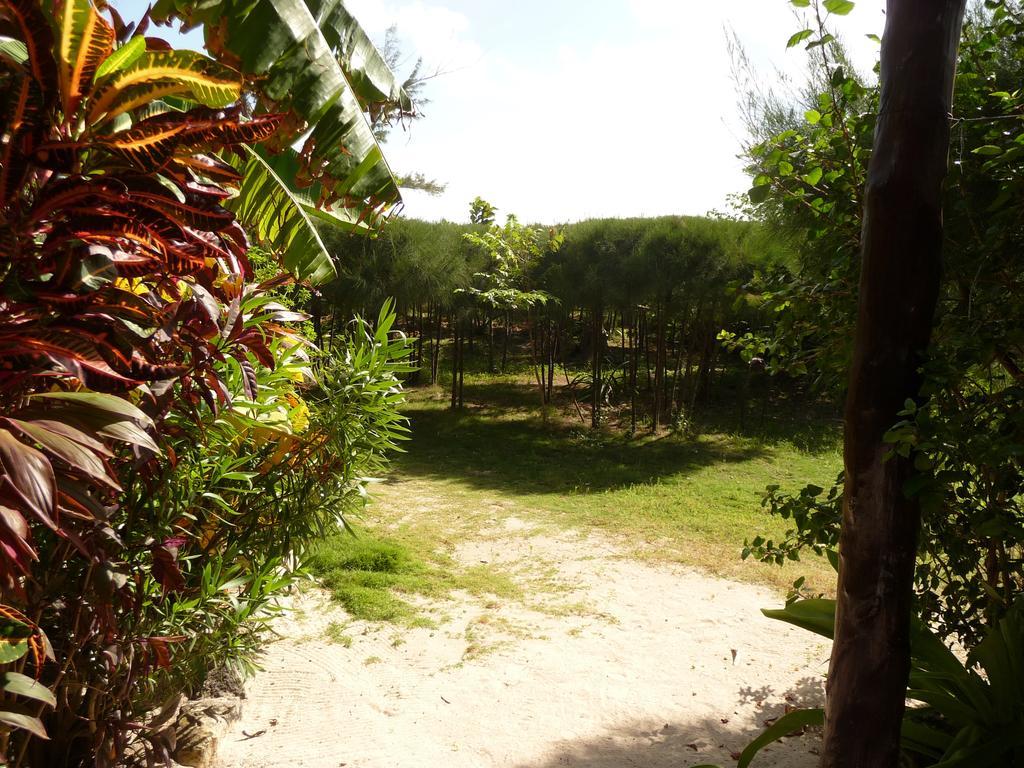 Rancho Sakol Puerto Morelos Exterior foto