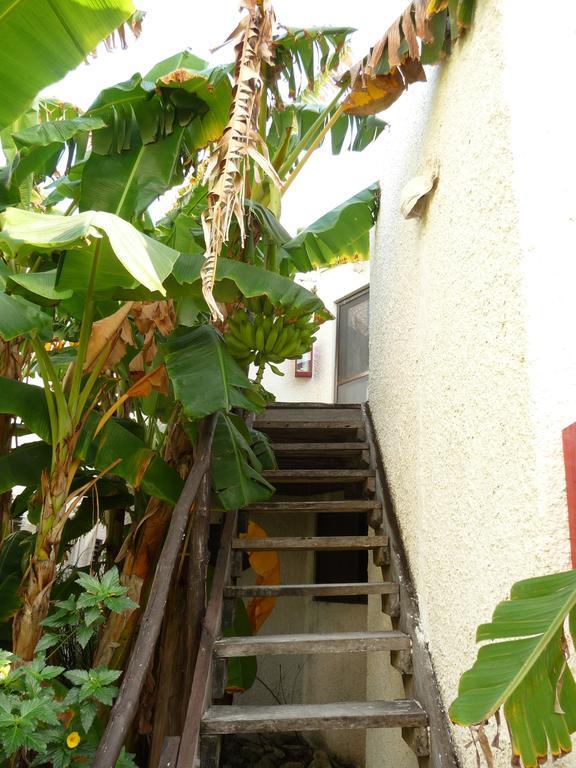 Rancho Sakol Puerto Morelos Quarto foto